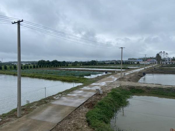 泥鳅养殖致富的人_养殖泥鳅挣钱吗_养殖泥鳅前景