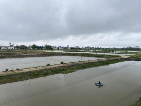 养殖泥鳅挣钱吗_泥鳅养殖致富的人_养殖泥鳅前景