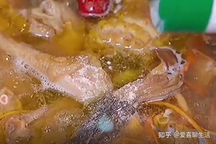 致富经肉鸽养殖创业_养肉食鸽_致富经肉用鸽