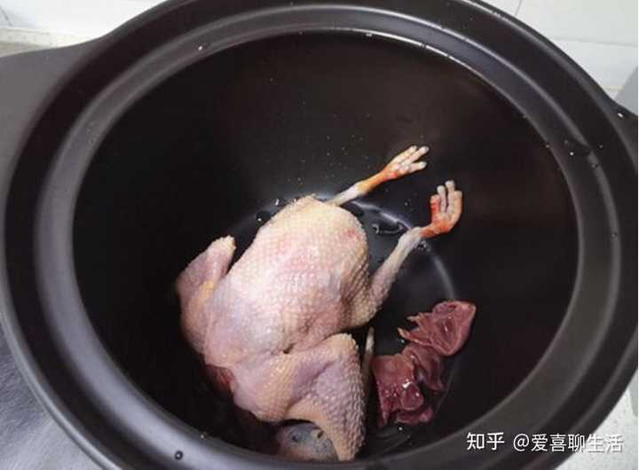 养肉食鸽_致富经肉鸽养殖创业_致富经肉用鸽