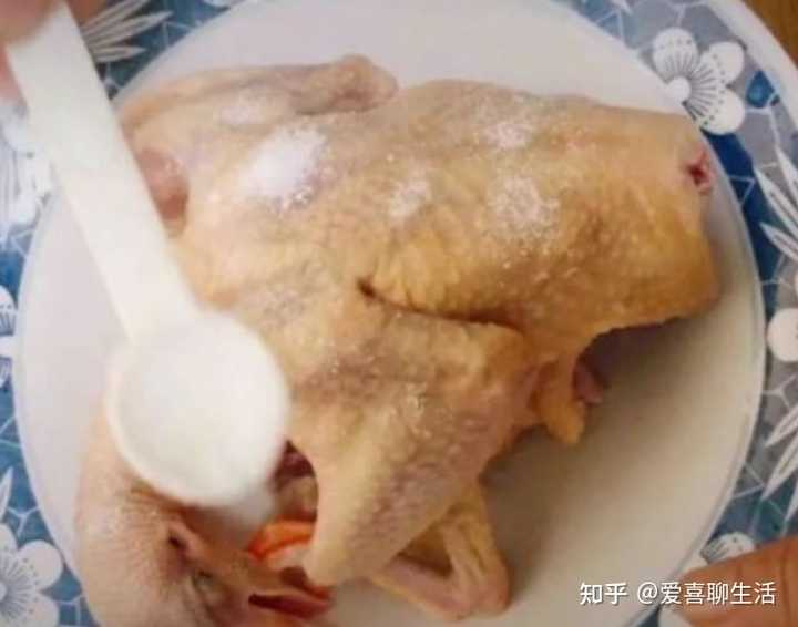 致富经肉鸽养殖创业_养肉食鸽_致富经肉用鸽