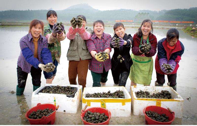 致富经湖南螺蛳_湖南养蛇致富视频全集_昆明螺蛳湾和新螺蛳湾