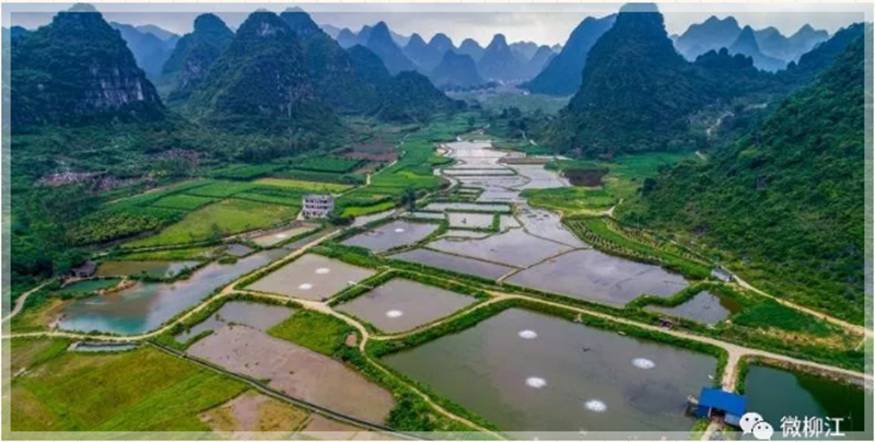 湖南养蛇致富视频全集_昆明螺蛳湾和新螺蛳湾_致富经湖南螺蛳