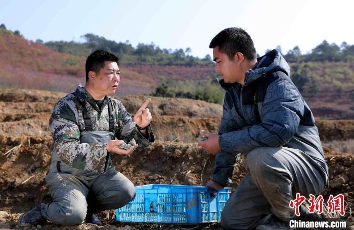 致富经湖南螺蛳_湖南螺蛳养殖基地_致富经螺蛳养殖视频