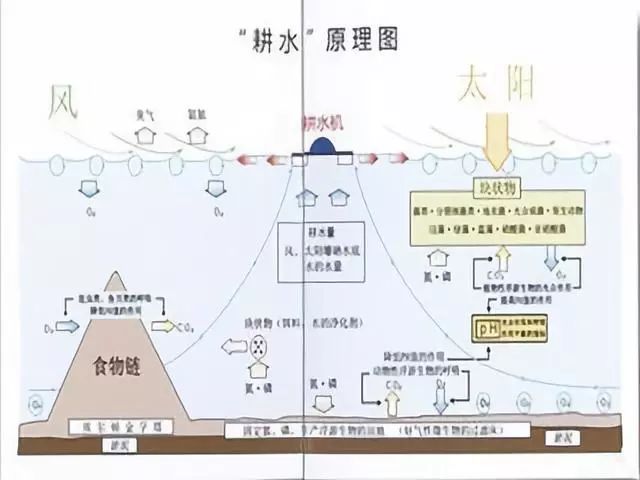 四大家鱼的养殖技术_养殖鱼技术支援_育虫养鱼技术