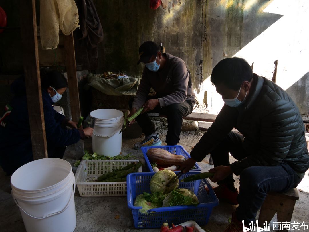 致富养殖林麝图片_林麝养殖致富_致富经林麝养殖视频