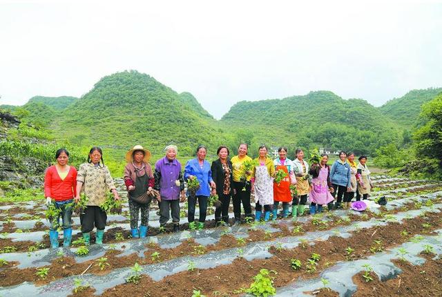 致富女能手和她的“女兵队”