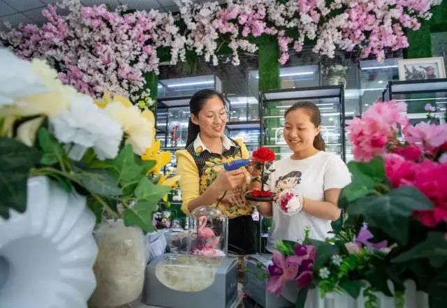 花卉致富采访种植方案_花卉致富采访种植视频_采访种植花卉致富