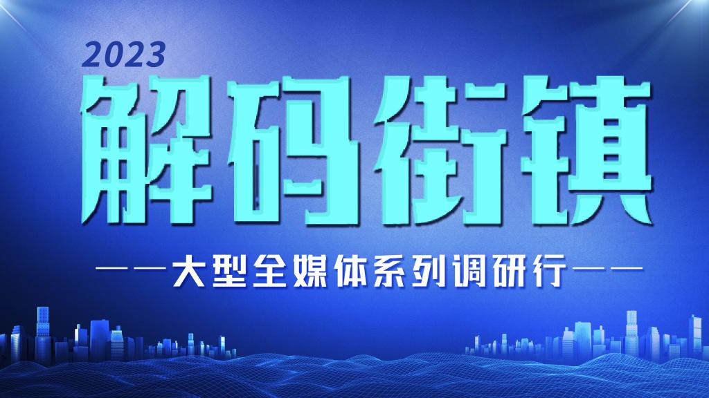 解码街镇｜这座远郊小镇，铺就 “花样”致富路