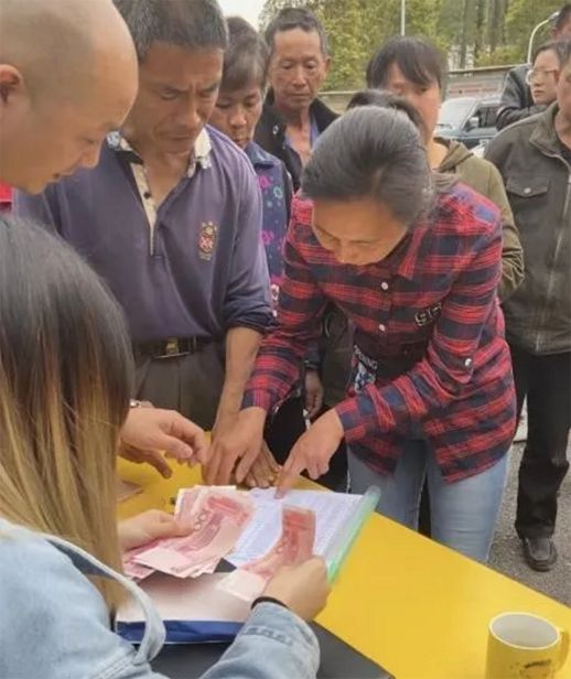 种植盆景技术_盆景致富经_盆景种植致富机