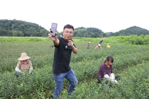 盆景致富经_种植盆景技术_盆景种植致富机