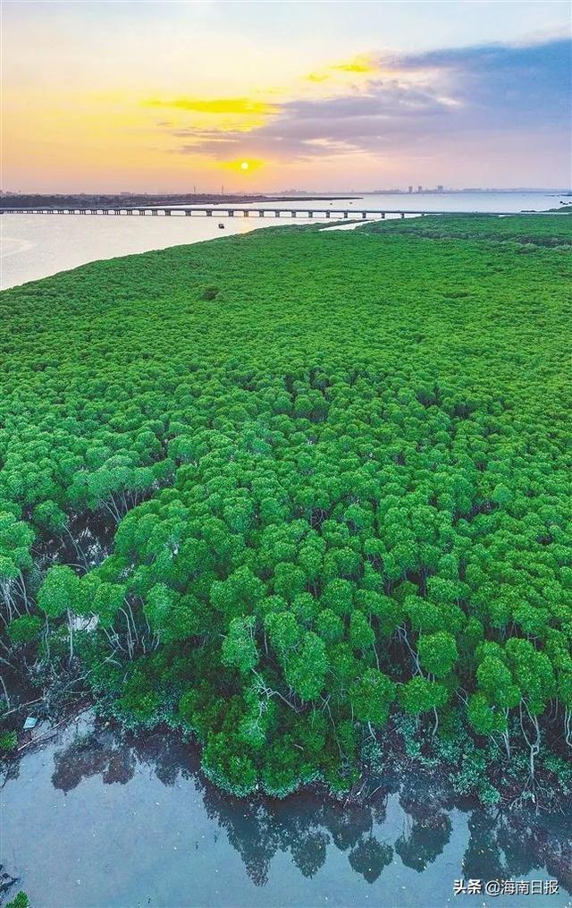 致富经高峰在哪里_致富风口_致富经高峰牛