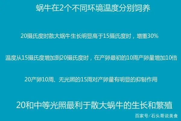 涡牛养殖技术_养殖窝牛前景怎么样_养涡牛赚钱吗