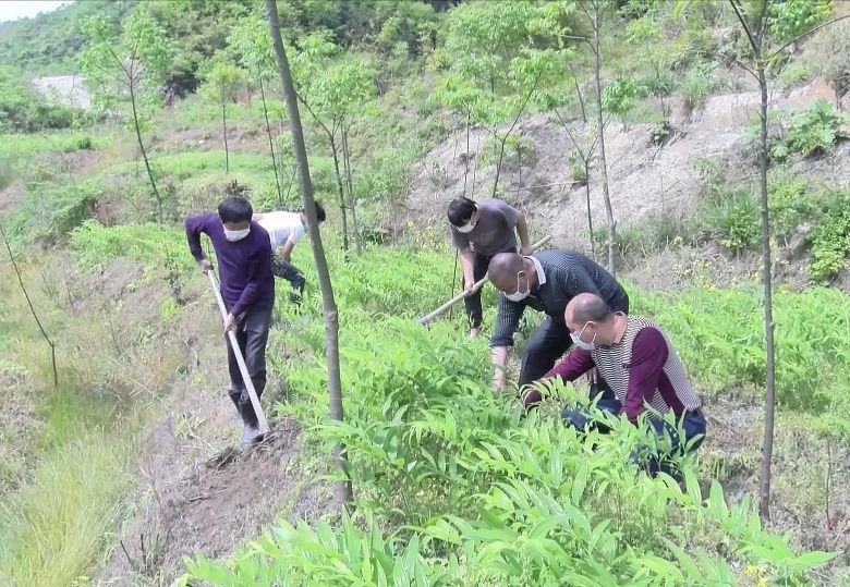 致富原因有哪些_致富经造成_致富致富