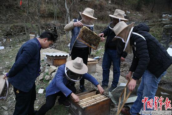 致富经土蜂蜜养殖_致富蜂蜜养殖土豆视频_致富蜂蜜养殖土豆好吗