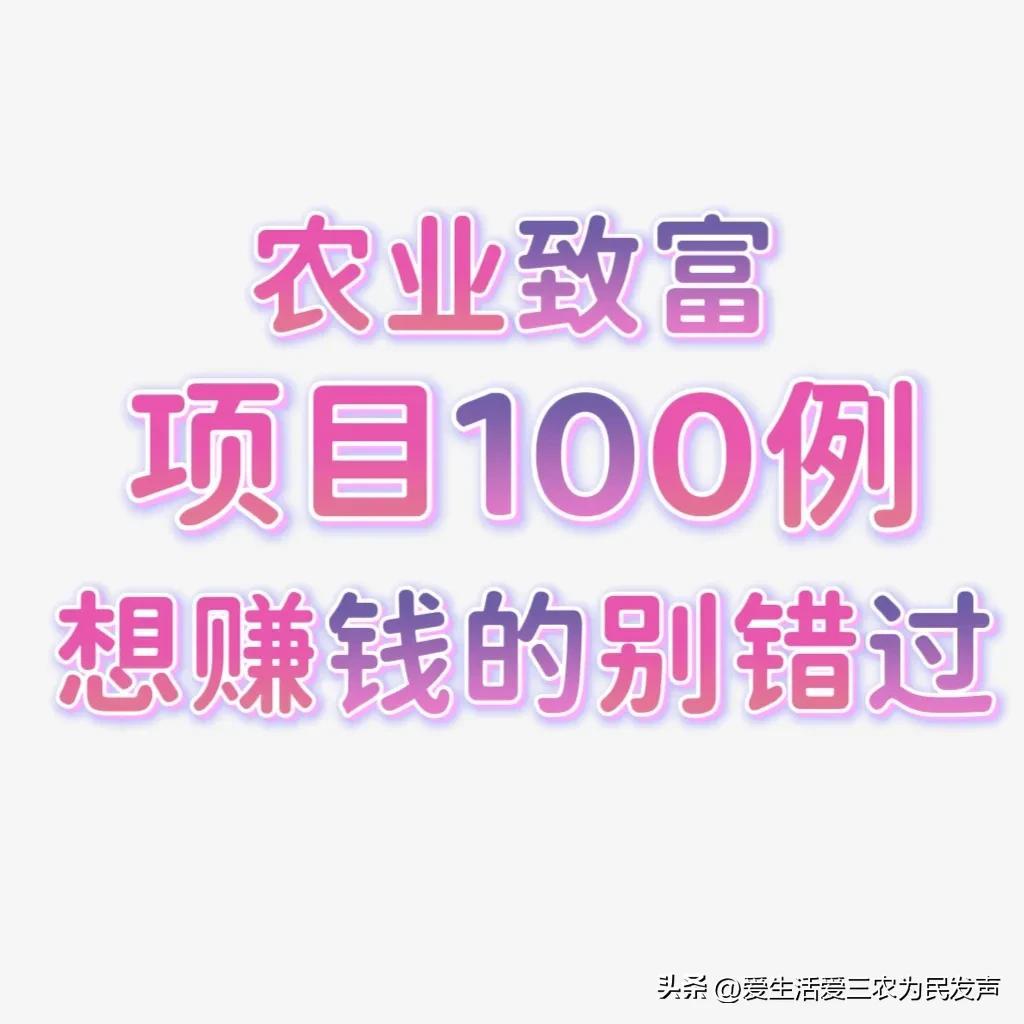 农业致富项目100例，想发财的别错过，建议收藏(1)