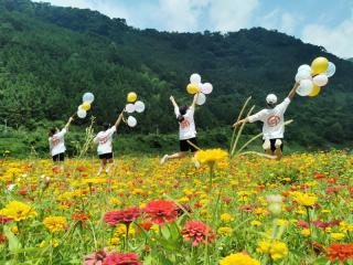 天峨：美丽花海带动乡村游