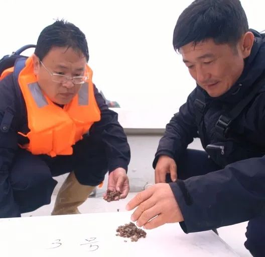 致富海岛港版一肖中特_海岛上的致富羊_致富经海上