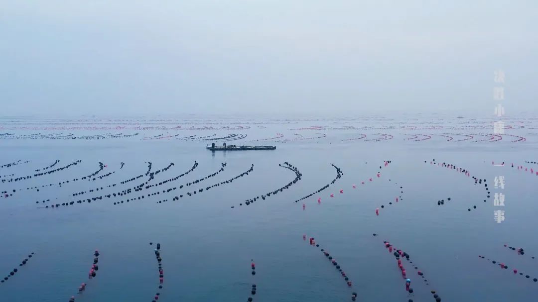 致富海岛港版一肖中特_致富经海上_海岛上的致富羊