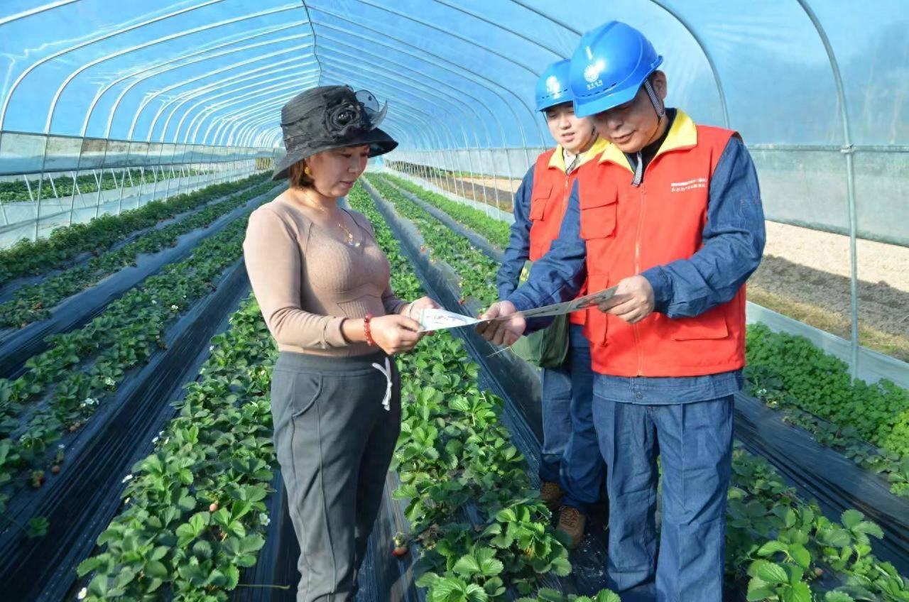 电力优质服务典型经验_电力优质服务典型案例_典型电力优质经验服务方案