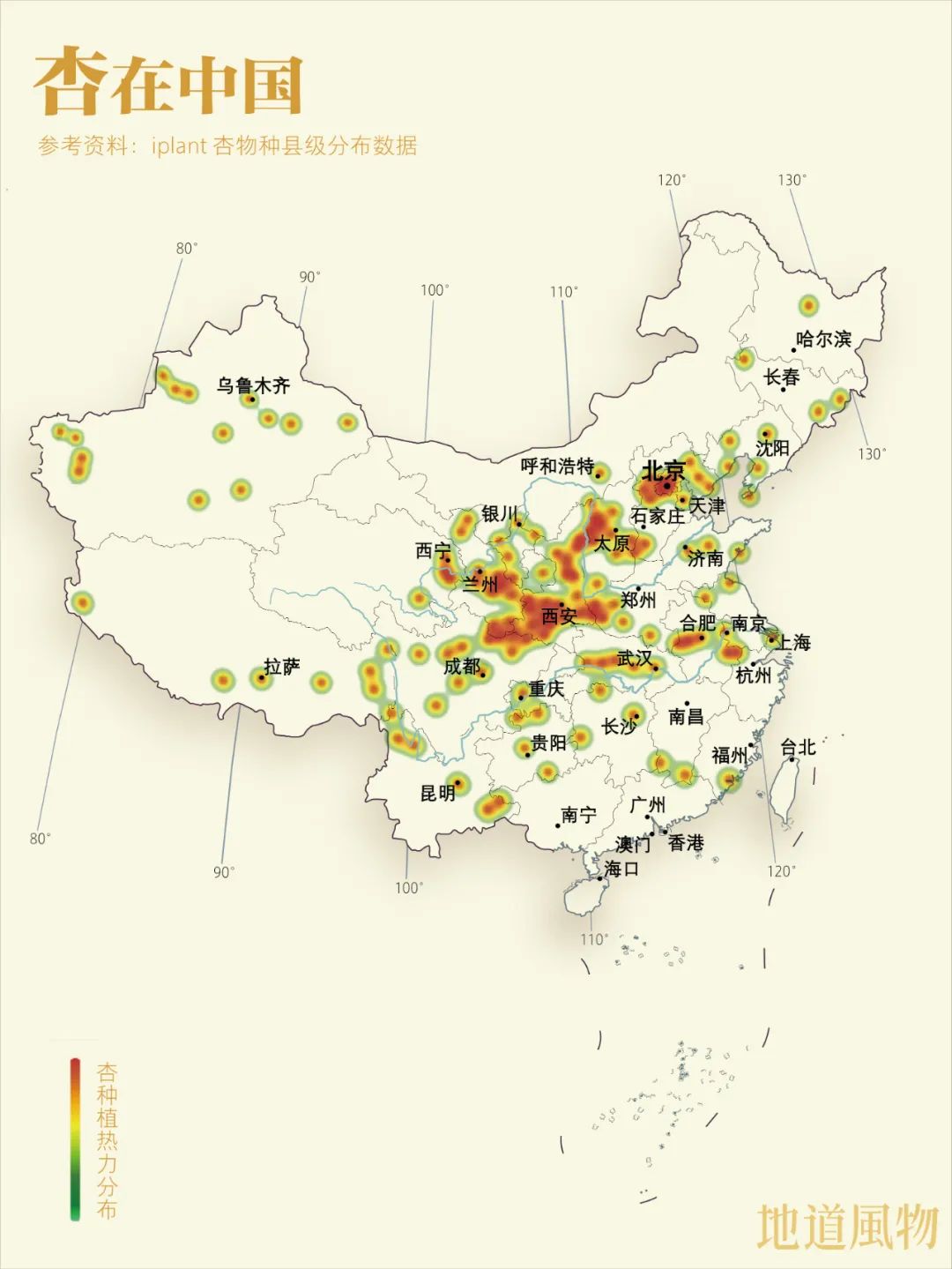 致富种植杏树图片_杏树种植致富_种植杏树效益怎么样