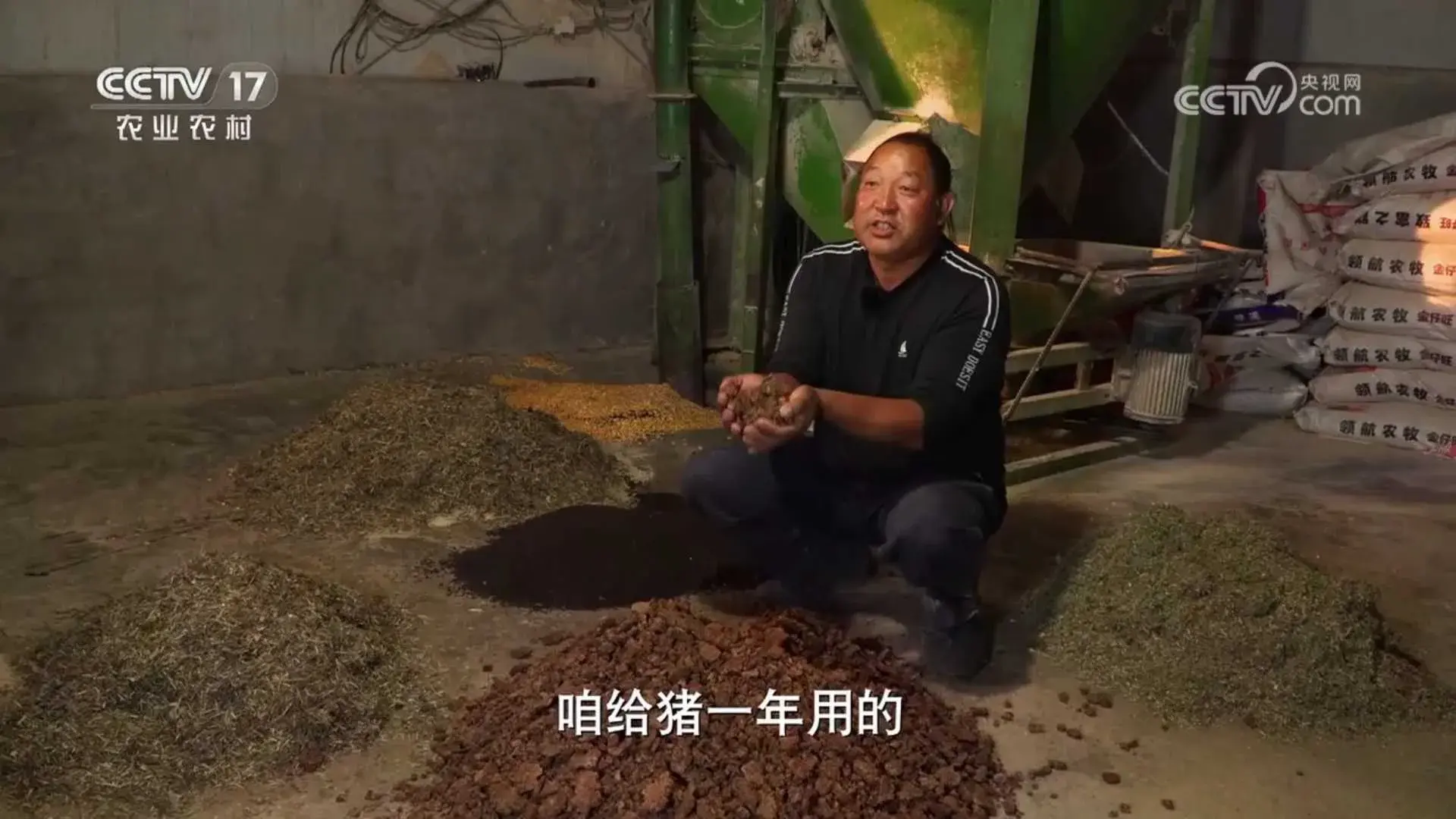 致富经黑猪养殖_黑猪致富经_致富经放养黑猪