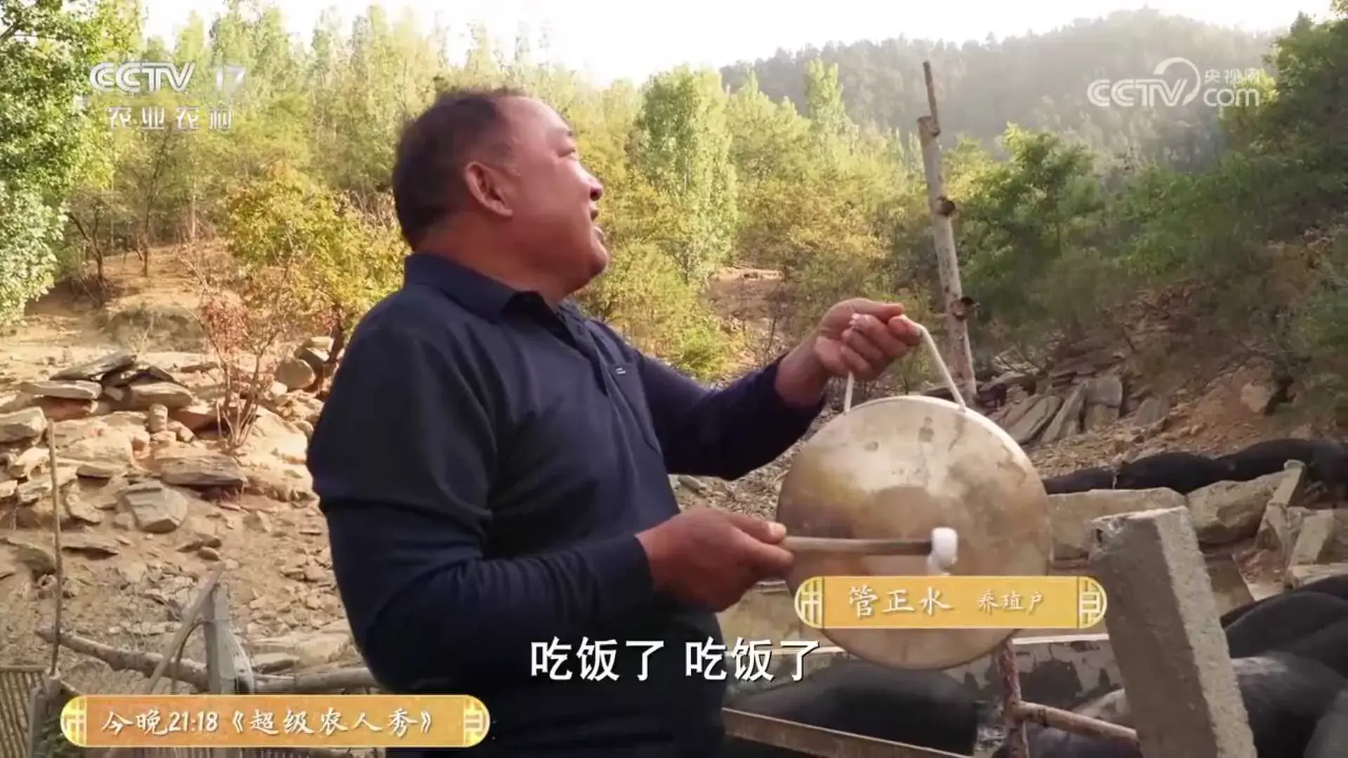 黑猪致富经_致富经放养黑猪_致富经黑猪养殖