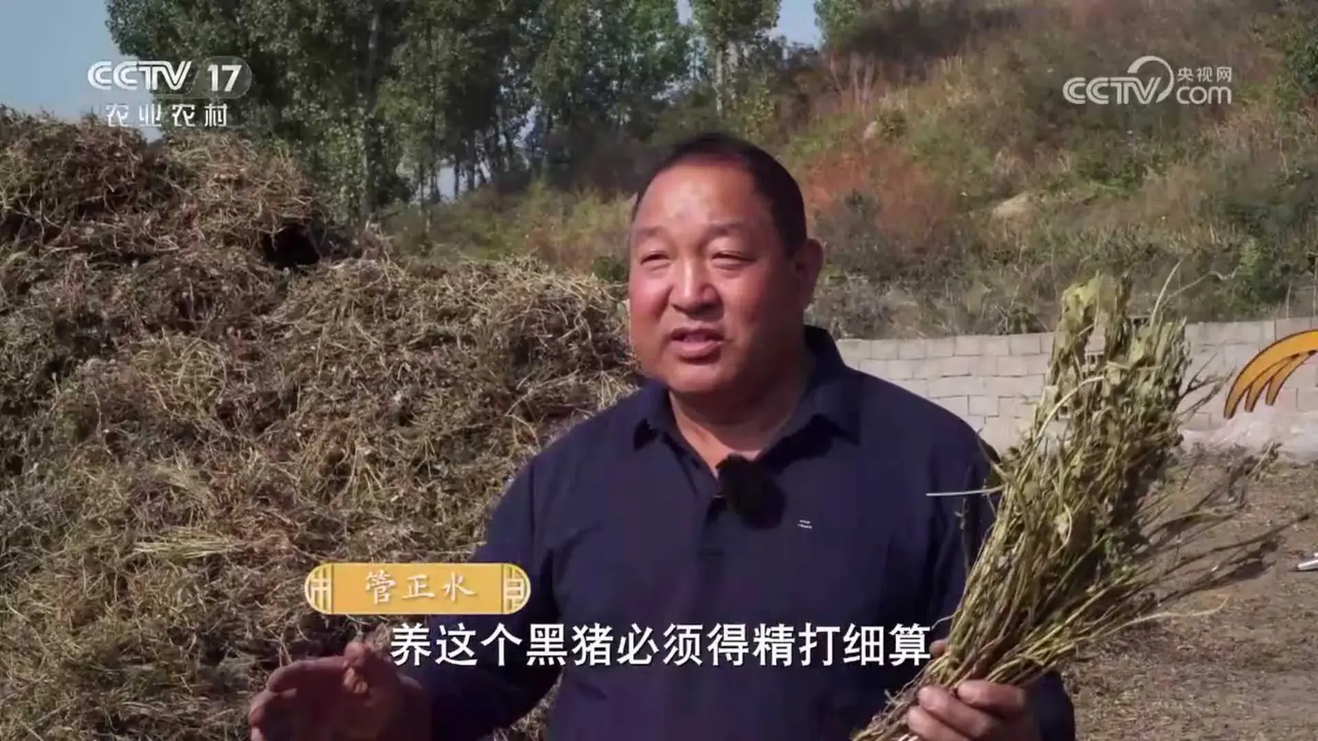 致富经放养黑猪_致富经黑猪养殖_黑猪致富经