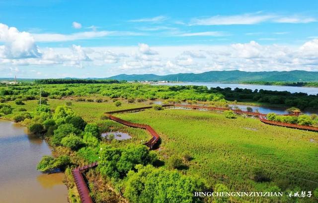 双鸭山养殖场_双鸭山种植致富_双鸭山苗圃