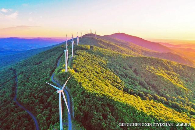 双鸭山种植致富_双鸭山苗圃_双鸭山养殖场