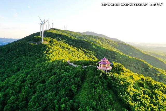 双鸭山苗圃_双鸭山养殖场_双鸭山种植致富