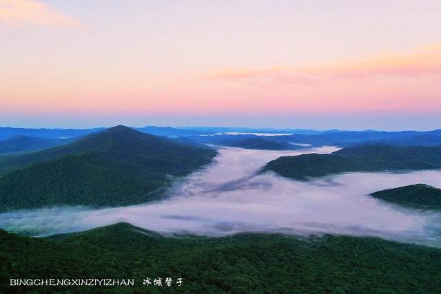 双鸭山苗圃_双鸭山种植致富_双鸭山养殖场