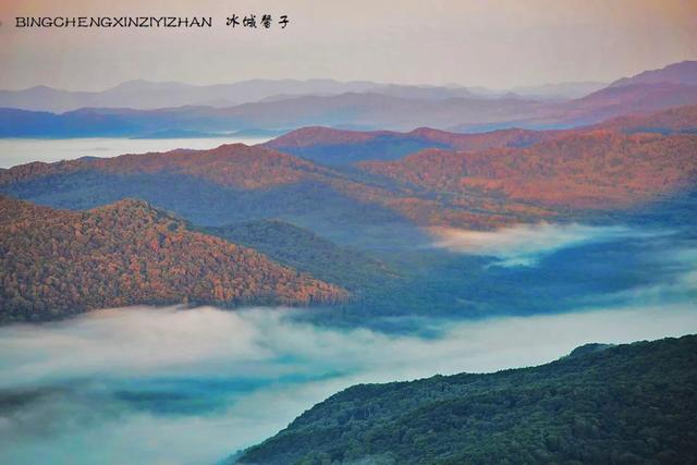 双鸭山种植致富_双鸭山苗圃_双鸭山养殖场