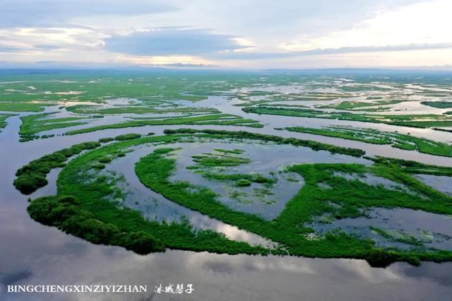 双鸭山养殖场_双鸭山苗圃_双鸭山种植致富