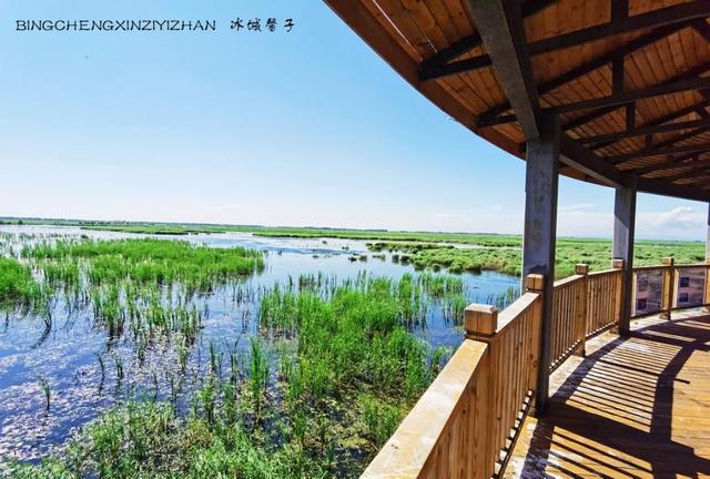 双鸭山养殖场_双鸭山苗圃_双鸭山种植致富