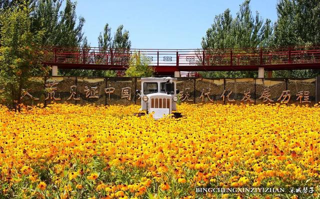 双鸭山苗圃_双鸭山养殖场_双鸭山种植致富