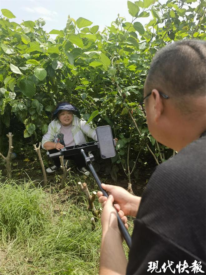 致富经蜥蜴养殖_蜥蜴养殖利润_养殖蜥蜴赚钱吗