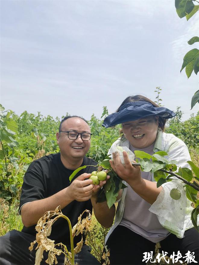 养殖蜥蜴赚钱吗_蜥蜴养殖利润_致富经蜥蜴养殖