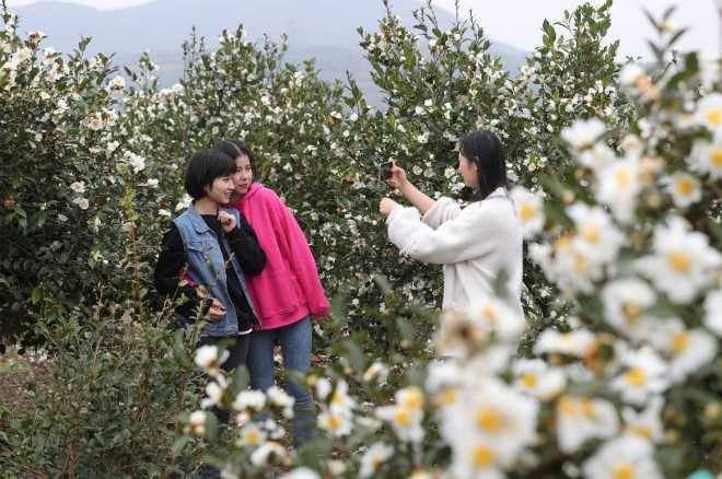 种植经果林走上致富路_致富经果树种植视频_致富果树