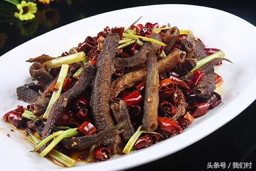 致富经台湾泥鳅芝_致富经台湾泥鳅芝_致富经台湾泥鳅芝