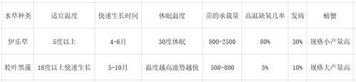 轮叶黑澡种植技术_金鱼澡种子怎么种植_叶菜种植技术员