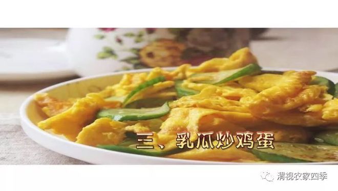 菜青虫养殖技术_菜青虫图片_致富经菜青虫视频