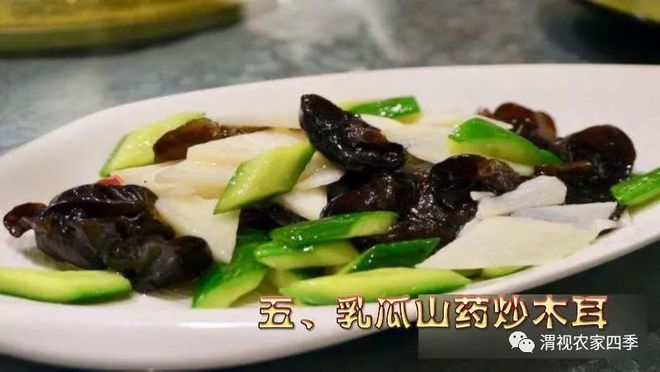 菜青虫养殖技术_致富经菜青虫视频_菜青虫图片