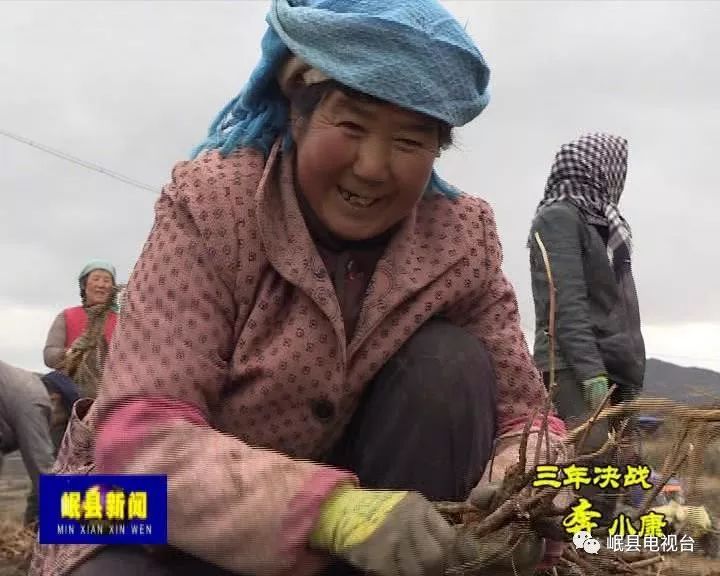 致富种植农民机械有哪些_农民种植致富机械_致富种植农民机械视频