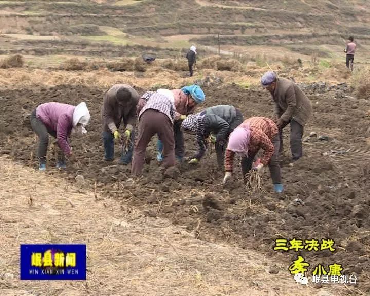 农民种植致富机械_致富种植农民机械视频_致富种植农民机械有哪些