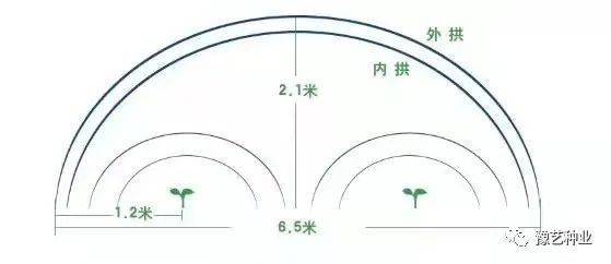 【栽培技术】种植早春保护地优质西瓜看这里，一看就会！