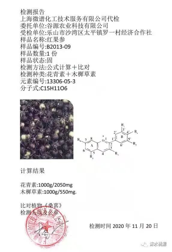 致富种植果野果怎么样_野果种植致富果_种植野果前景如何