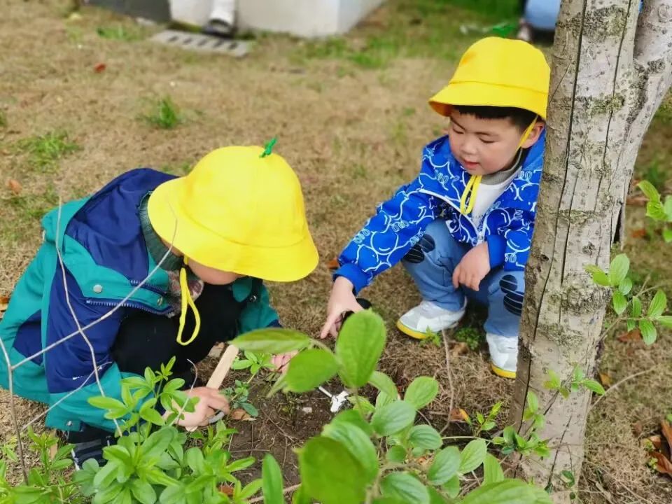 幼儿园优质办学经验_优质幼儿园的办园优势亮点_幼儿园办园经验分享