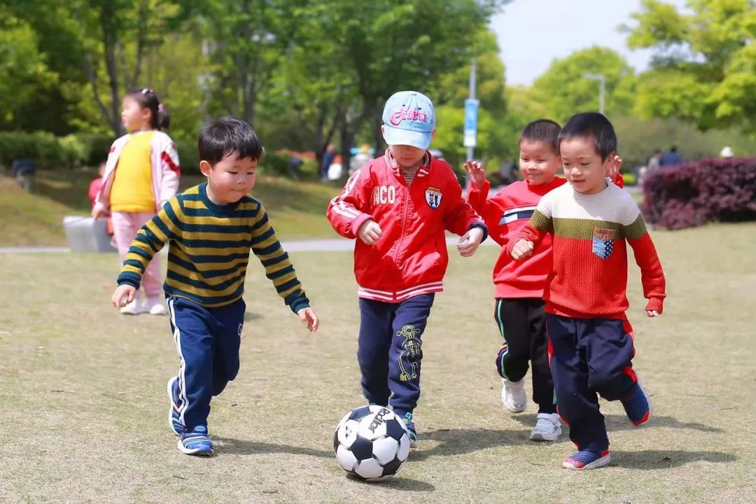 幼儿园优质办学经验_优质幼儿园的办园优势亮点_幼儿园办园经验分享