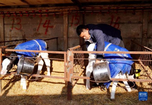 河北养殖大户_河北农村致富养殖_河北农村养殖什么赚钱